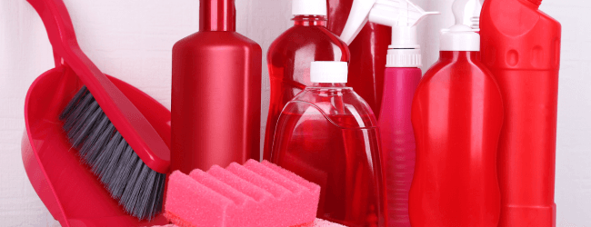 Who’s Responsible for Mould in Your Rental Property: Tenant or Landlord?