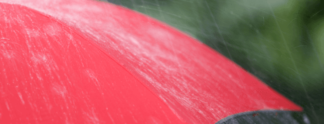 No Storm Surge Here: Brisbane’s Budget Holds Steady for Investors