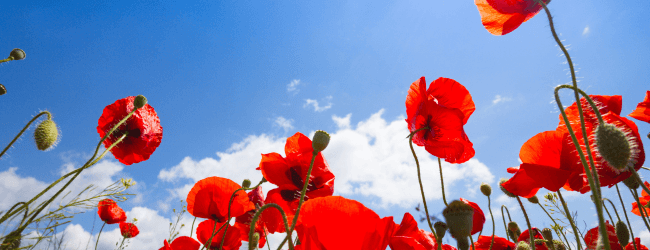 Spring Cleaning Your Finances to Boost Your Home Buying Power