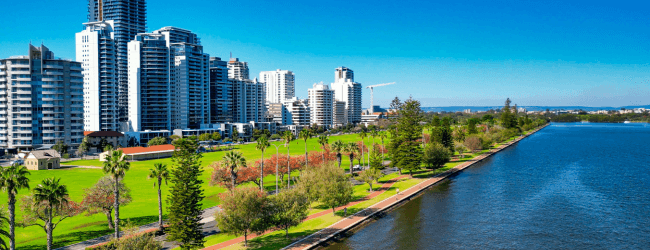 What Trees Tell You About a Property Market